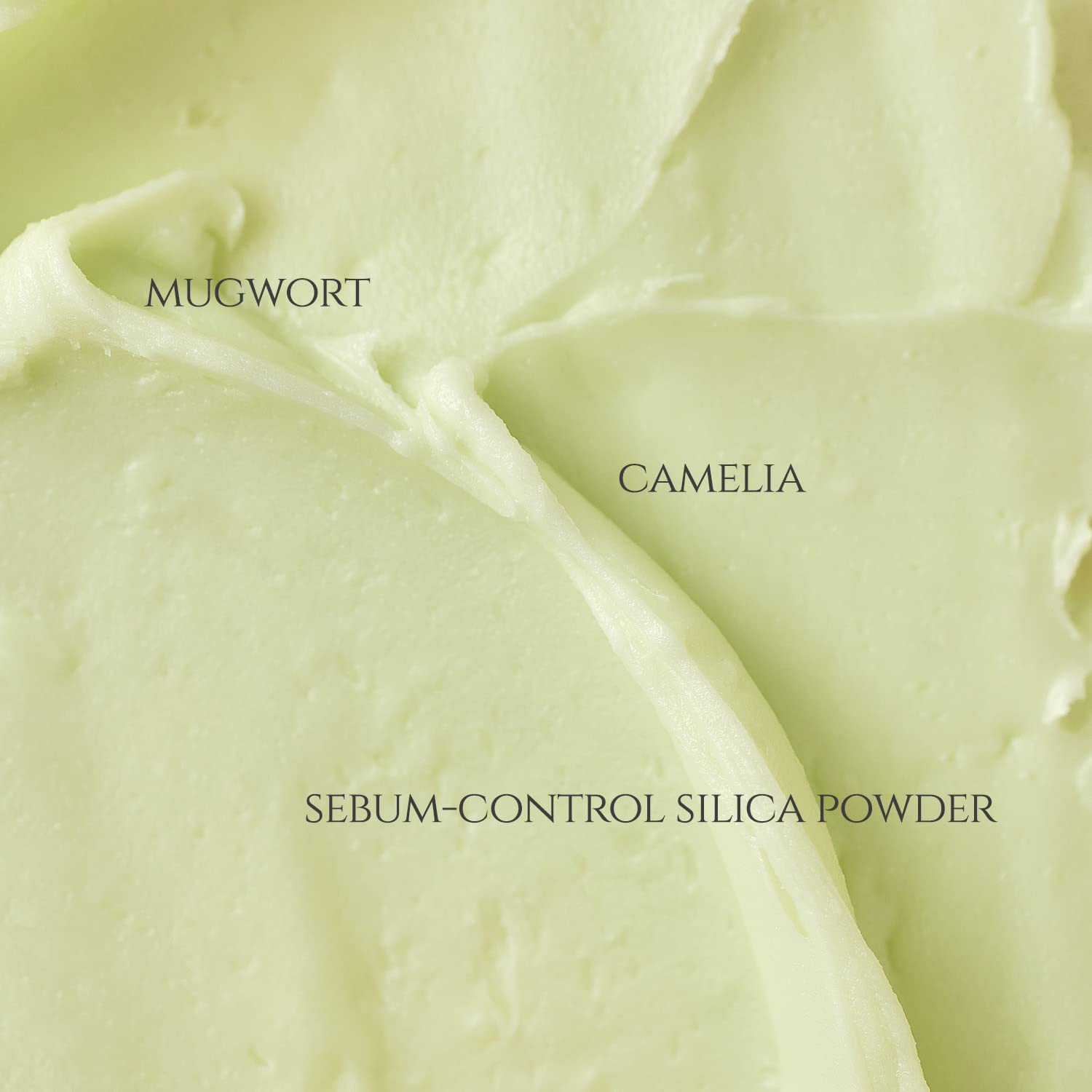 Matte Sun Stick: Mugwort + Camelia - pieštuko tipo apsauga nuo saulės SPF50